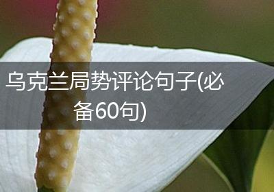 乌克兰局势评论句子(必备60句)