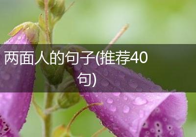 两面人的句子(推荐40句)