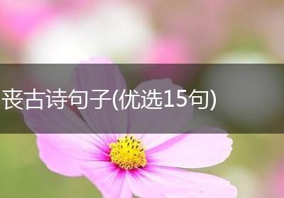丧古诗句子(优选15句)
