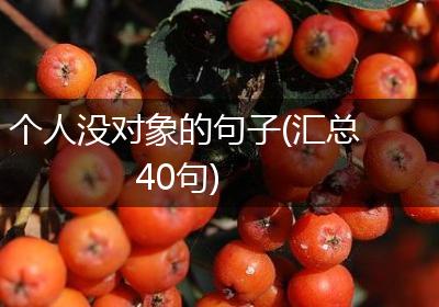 个人没对象的句子(汇总40句)