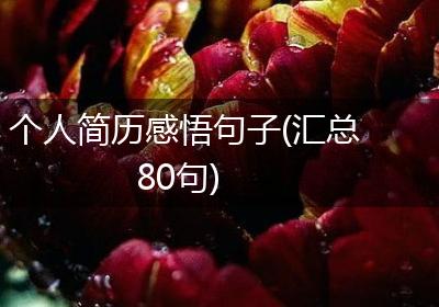 个人简历感悟句子(汇总80句)
