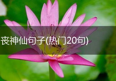 丧神仙句子(热门20句)