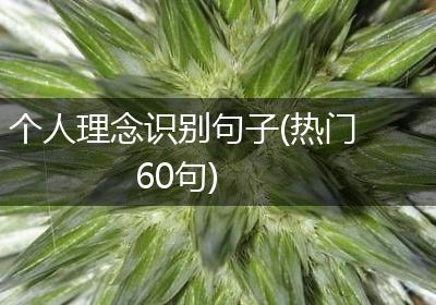 个人理念识别句子(热门60句)