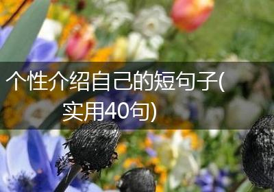 个性介绍自己的短句子(实用40句)