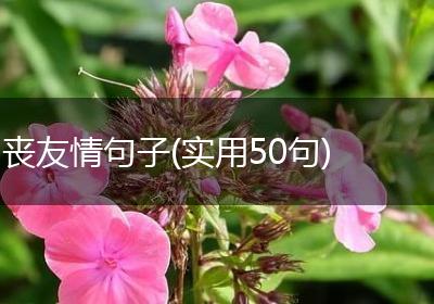 丧友情句子(实用50句)