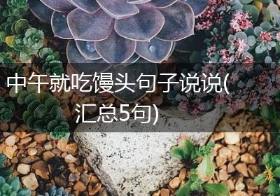 中午就吃馒头句子说说(汇总5句)
