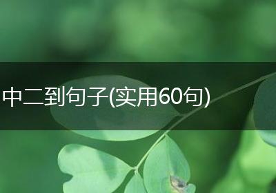 中二到句子(实用60句)