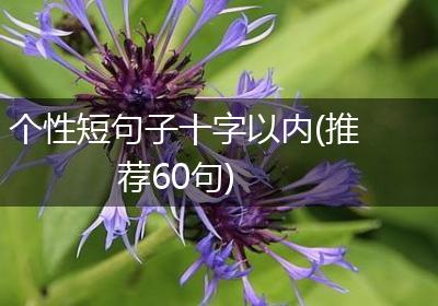个性短句子十字以内(推荐60句)