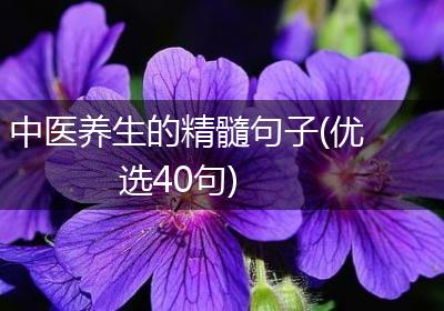 中医养生的精髓句子(优选40句)
