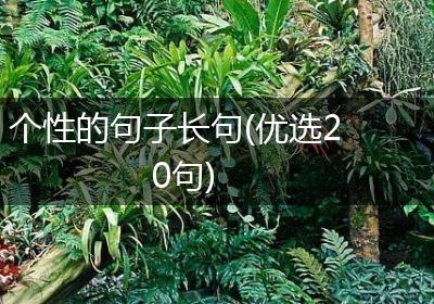 个性的句子长句(优选20句)