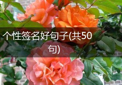 个性签名好句子(共50句)
