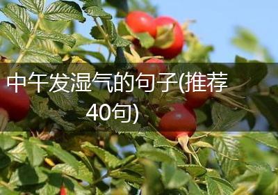 中午发湿气的句子(推荐40句)