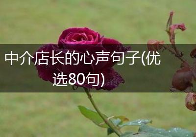 中介店长的心声句子(优选80句)