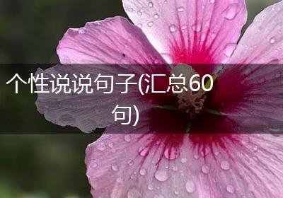 个性说说句子(汇总60句)