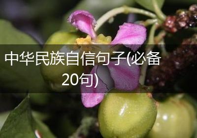 中华民族自信句子(必备20句)