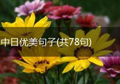 中日优美句子(共78句)