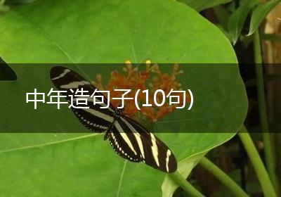 中年造句子(10句)