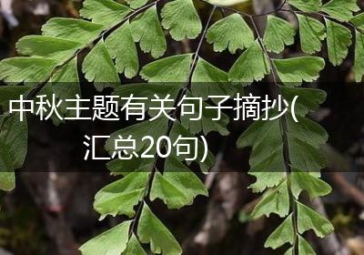 中秋主题有关句子摘抄(汇总20句)