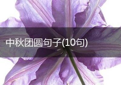 中秋团圆句子(10句)