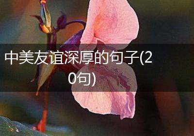 中美友谊深厚的句子(20句)