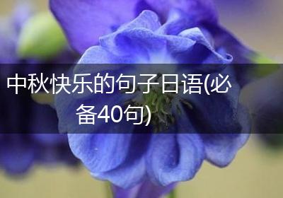 中秋快乐的句子日语(必备40句)