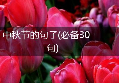 中秋节的句子(必备30句)