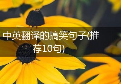 中英翻译的搞笑句子(推荐10句)
