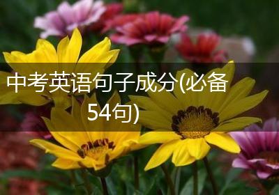 中考英语句子成分(必备54句)