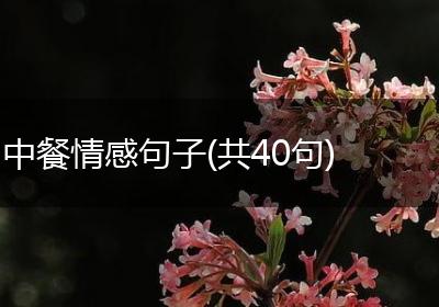 中餐情感句子(共40句)