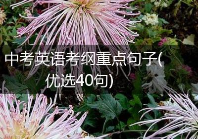中考英语考纲重点句子(优选40句)