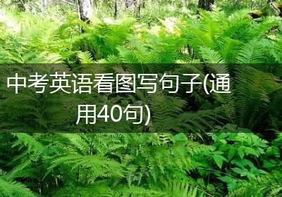 中考英语看图写句子(通用40句)