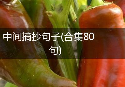 中间摘抄句子(合集80句)