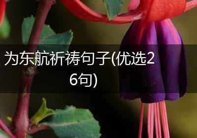 为东航祈祷句子(优选26句)
