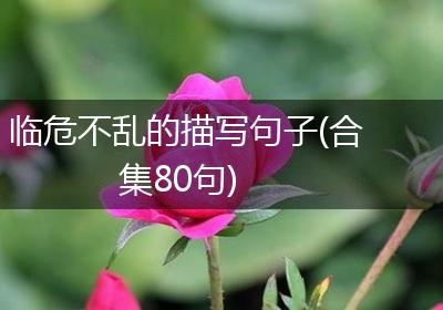 临危不乱的描写句子(合集80句)
