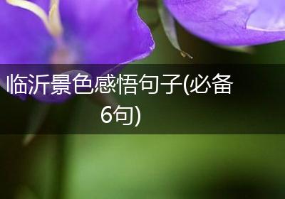临沂景色感悟句子(必备6句)