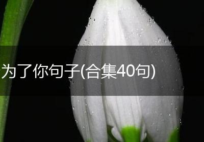 为了你句子(合集40句)