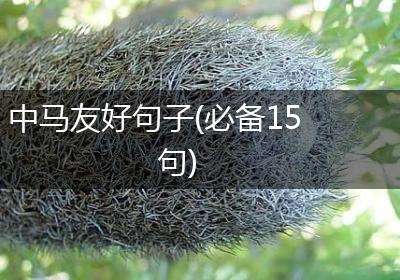 中马友好句子(必备15句)