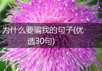 为什么要骗我的句子(优选30句)