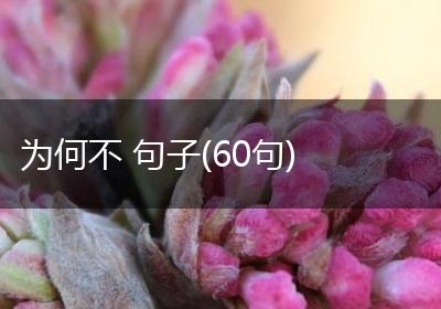 为何不 句子(60句)