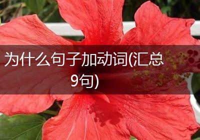 为什么句子加动词(汇总9句)