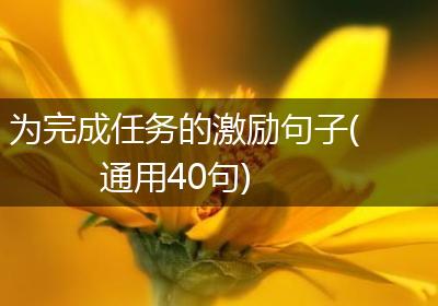 为完成任务的激励句子(通用40句)