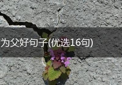 为父好句子(优选16句)