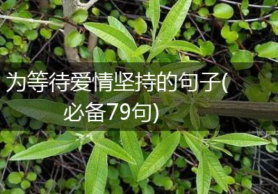为等待爱情坚持的句子(必备79句)