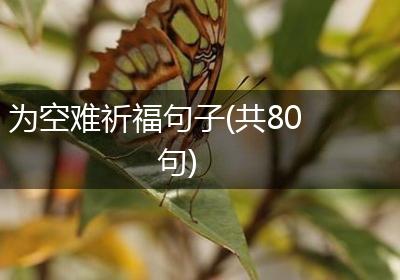为空难祈福句子(共80句)