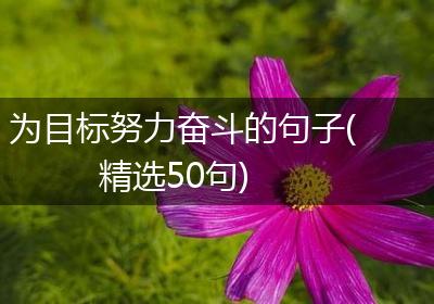 为目标努力奋斗的句子(精选50句)