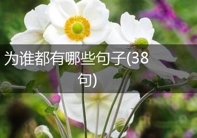 为谁都有哪些句子(38句)