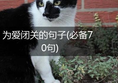 为爱闭关的句子(必备70句)