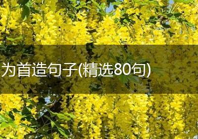 为首造句子(精选80句)