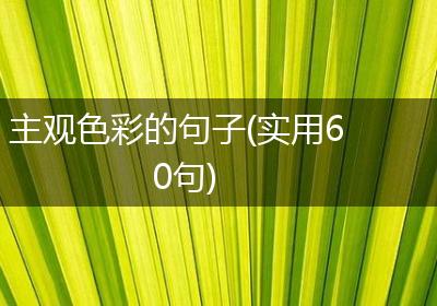 主观色彩的句子(实用60句)