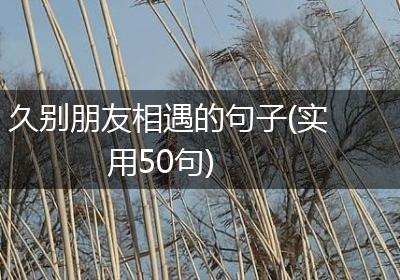 久别朋友相遇的句子(实用50句)